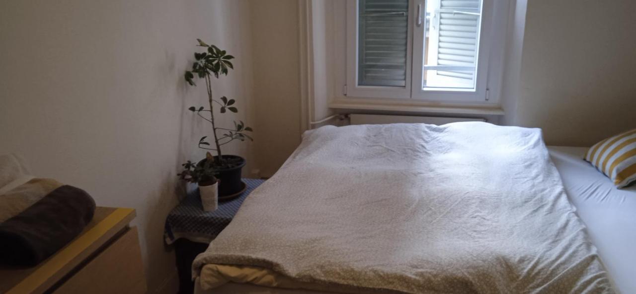 Chambre Double Last Minute Payerne Eksteriør billede